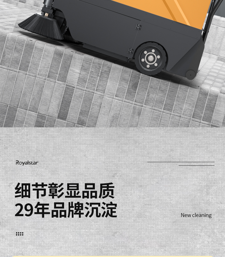 DS80(图15)